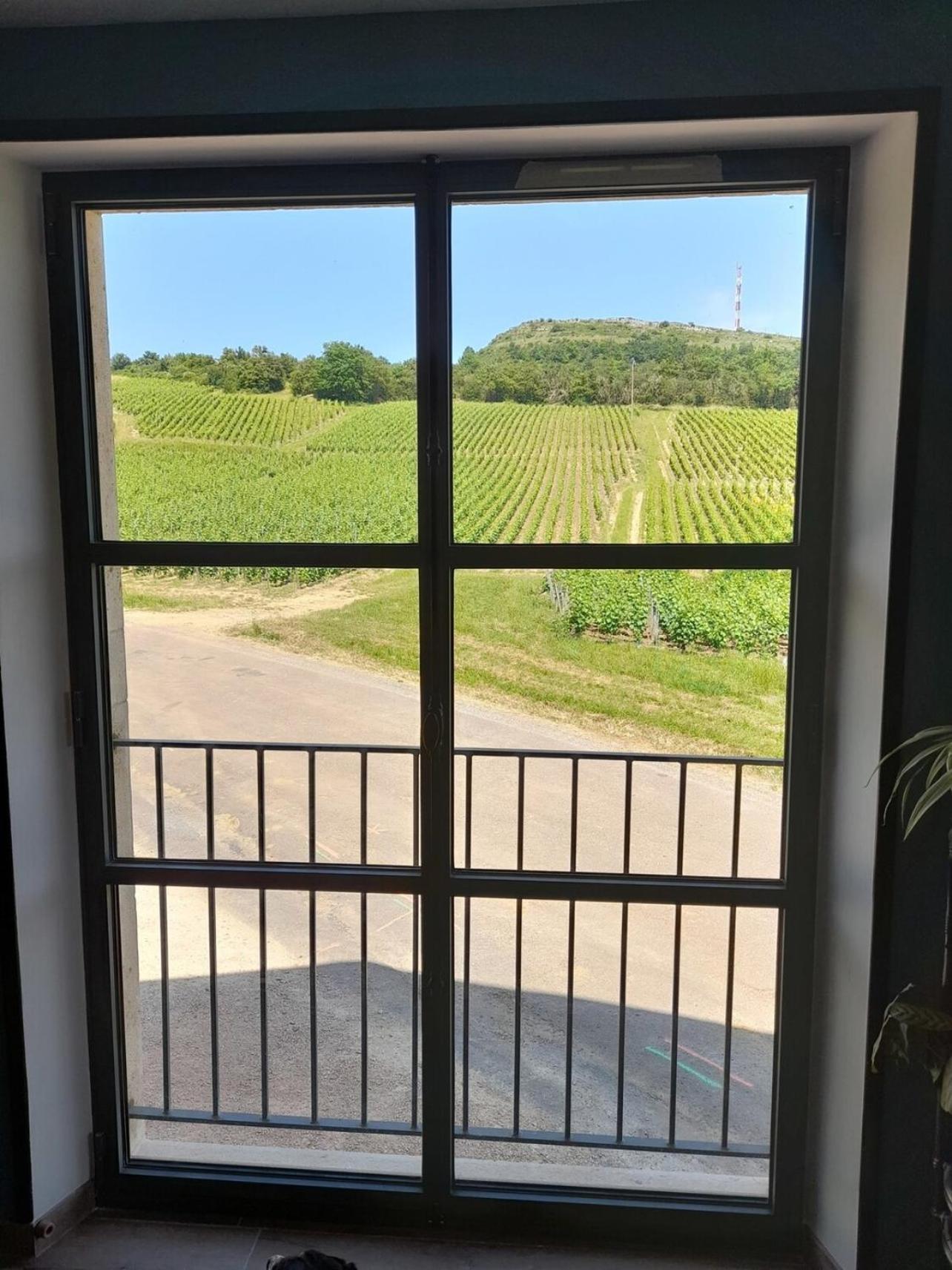 At The End Of The World -Bussires Burgundy Villa Bussieres  Exterior photo